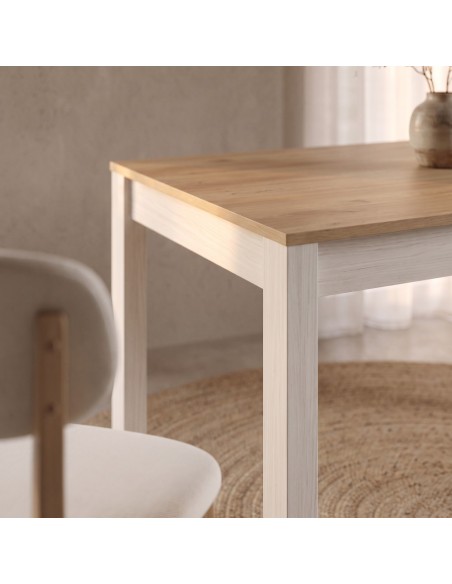 Mesa rectangular extensible DALIA I