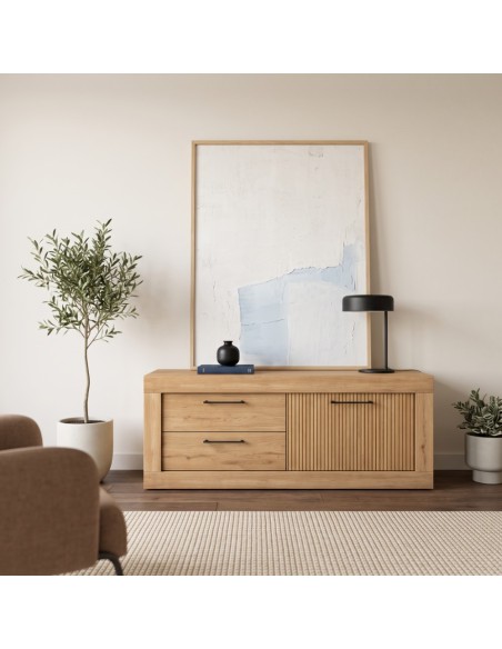 Mueble TV dos cajones y una puerta DALIA