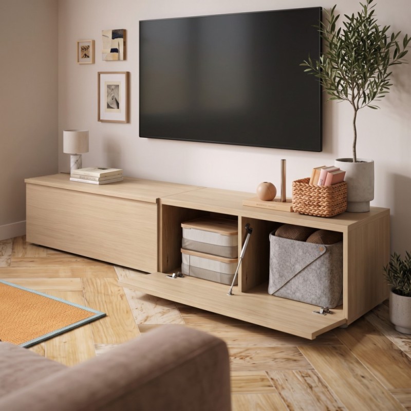 Modulo de TV con puerta DANIELA 2