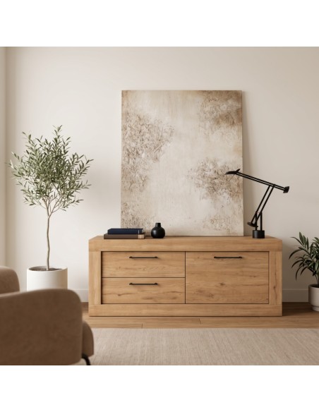 Mueble TV dos cajones y una puerta DALIA
