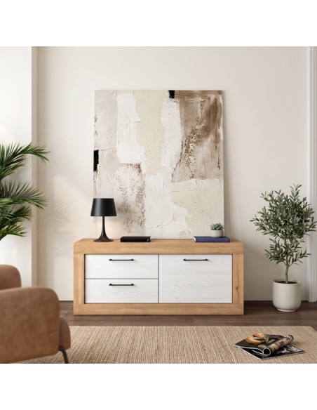 Mueble TV dos cajones y una puerta DALIA