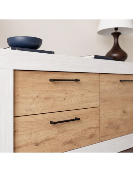 Mueble TV dos cajones y una puerta DALIA
