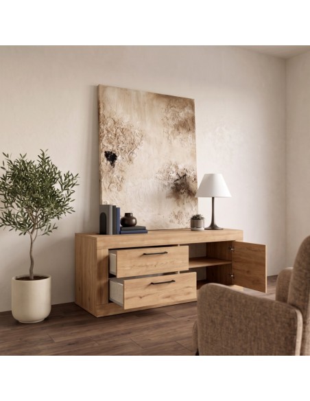 Mueble TV dos cajones y una puerta DALIA