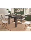 Mesa comedor cuadrada extensible DANIELA
