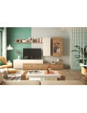 Mueble bajo televisión DANIELA I