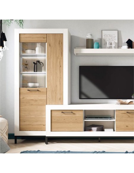 Modulo con vitrina y puerta de cristal MILANO