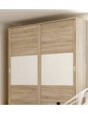 Armario dos puertas correderas ancho 240 altura 240 VIENA