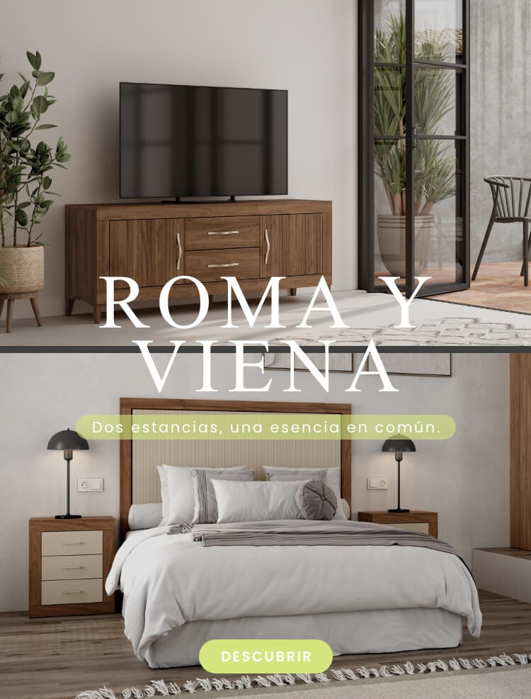 ROMA Y VIENA
